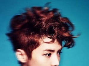 Luhan con pelo marron